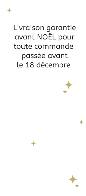 Livraison avant noël